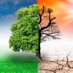 Patel_Climate_Change_SIZED
