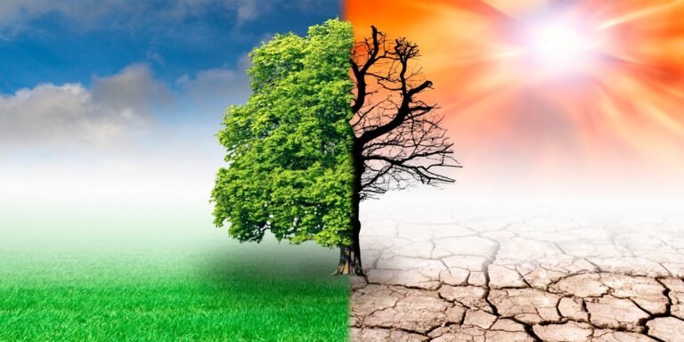 Environment & Climate Change meeting