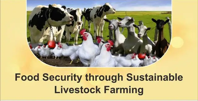 world Food Security (Agriculture and Livestock) day